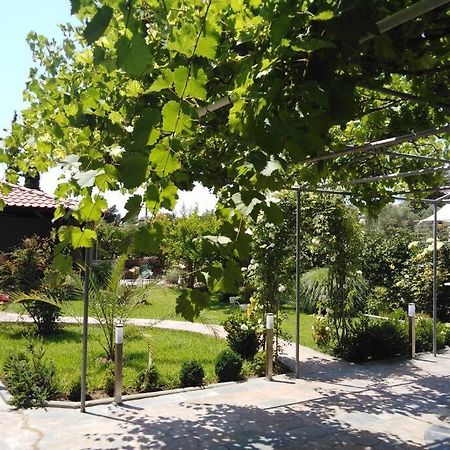 Villa Viktoria Halkidiki Nea Silata Buitenkant foto