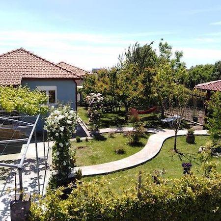 Villa Viktoria Halkidiki Nea Silata Buitenkant foto