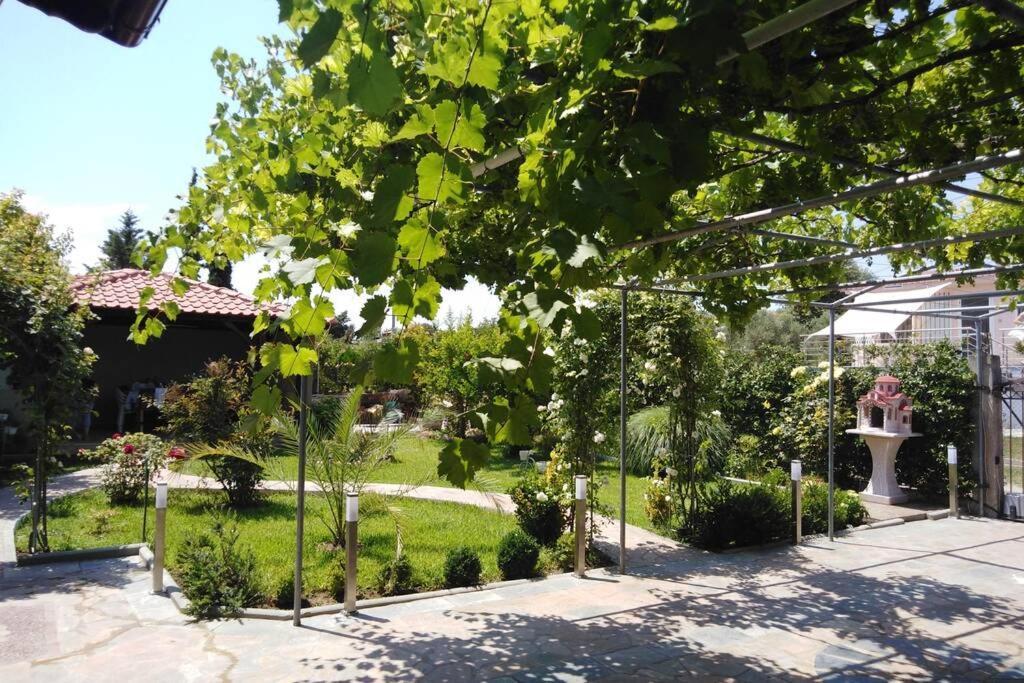 Villa Viktoria Halkidiki Nea Silata Buitenkant foto