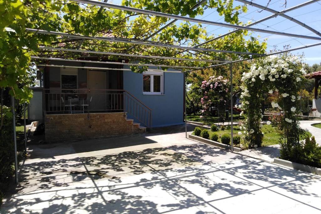 Villa Viktoria Halkidiki Nea Silata Buitenkant foto