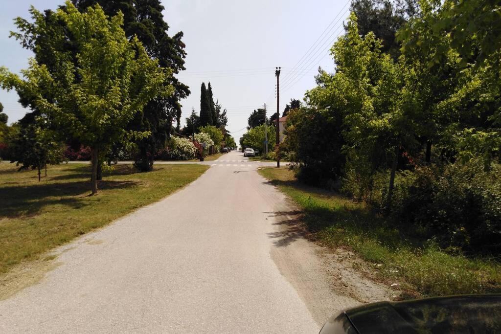 Villa Viktoria Halkidiki Nea Silata Buitenkant foto