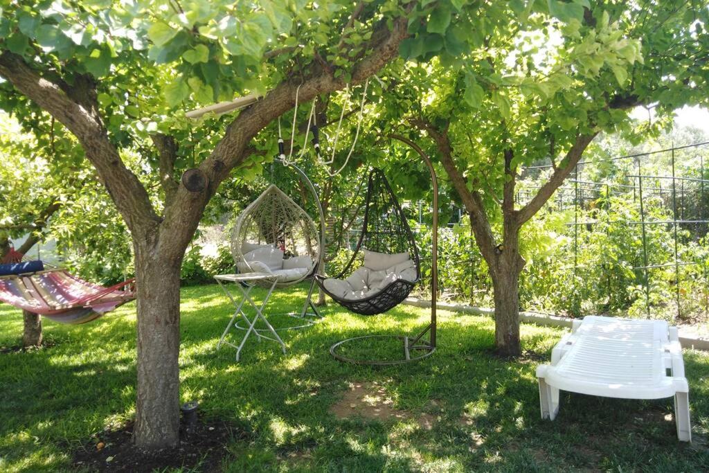 Villa Viktoria Halkidiki Nea Silata Buitenkant foto