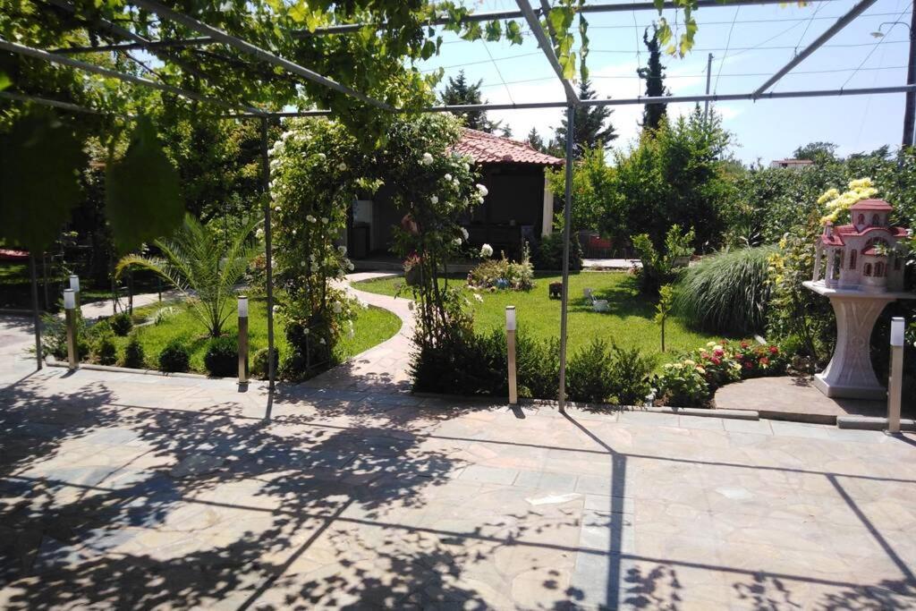 Villa Viktoria Halkidiki Nea Silata Buitenkant foto