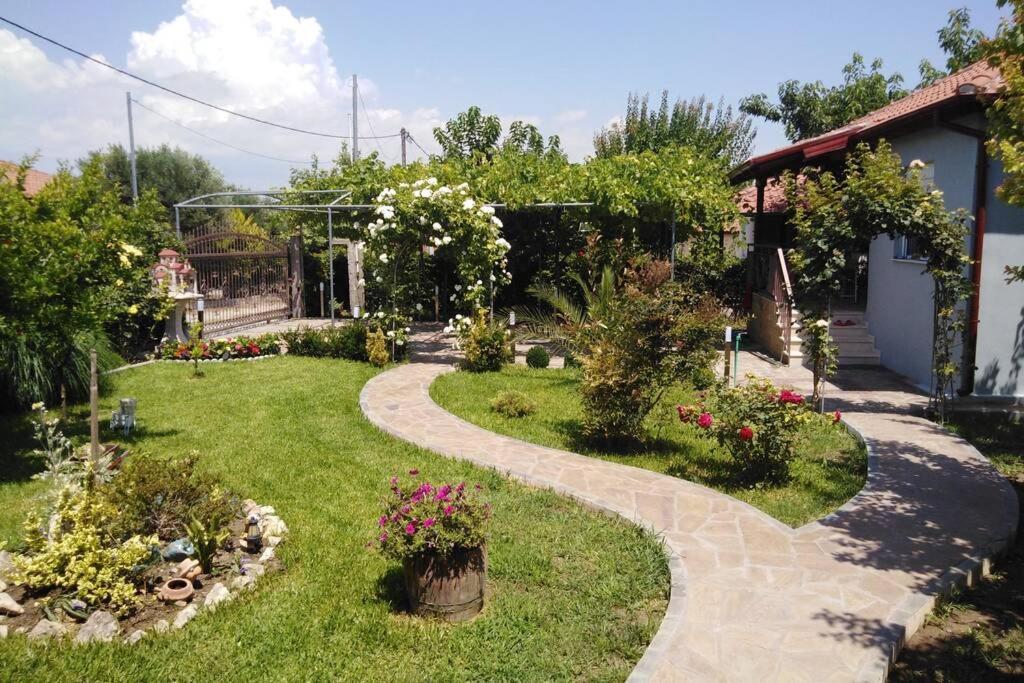 Villa Viktoria Halkidiki Nea Silata Buitenkant foto