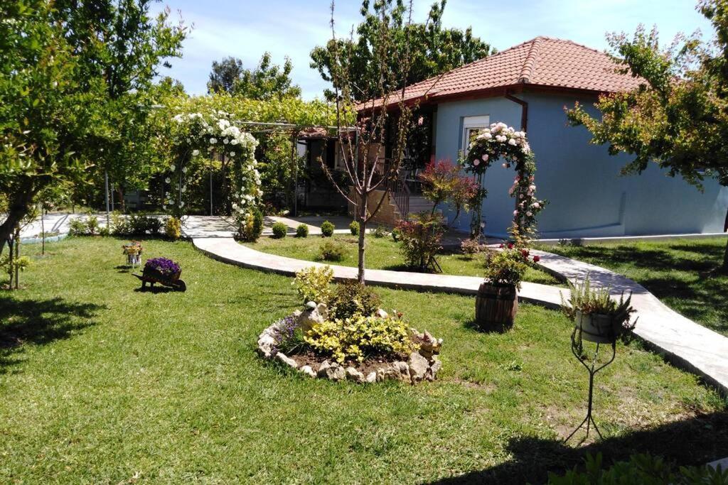 Villa Viktoria Halkidiki Nea Silata Buitenkant foto