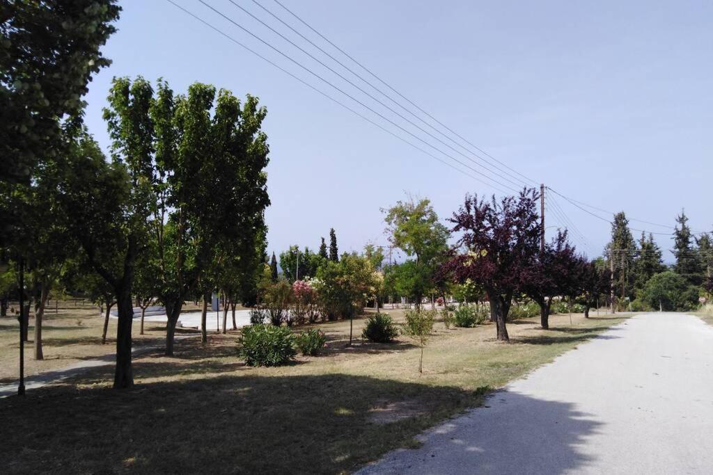 Villa Viktoria Halkidiki Nea Silata Buitenkant foto