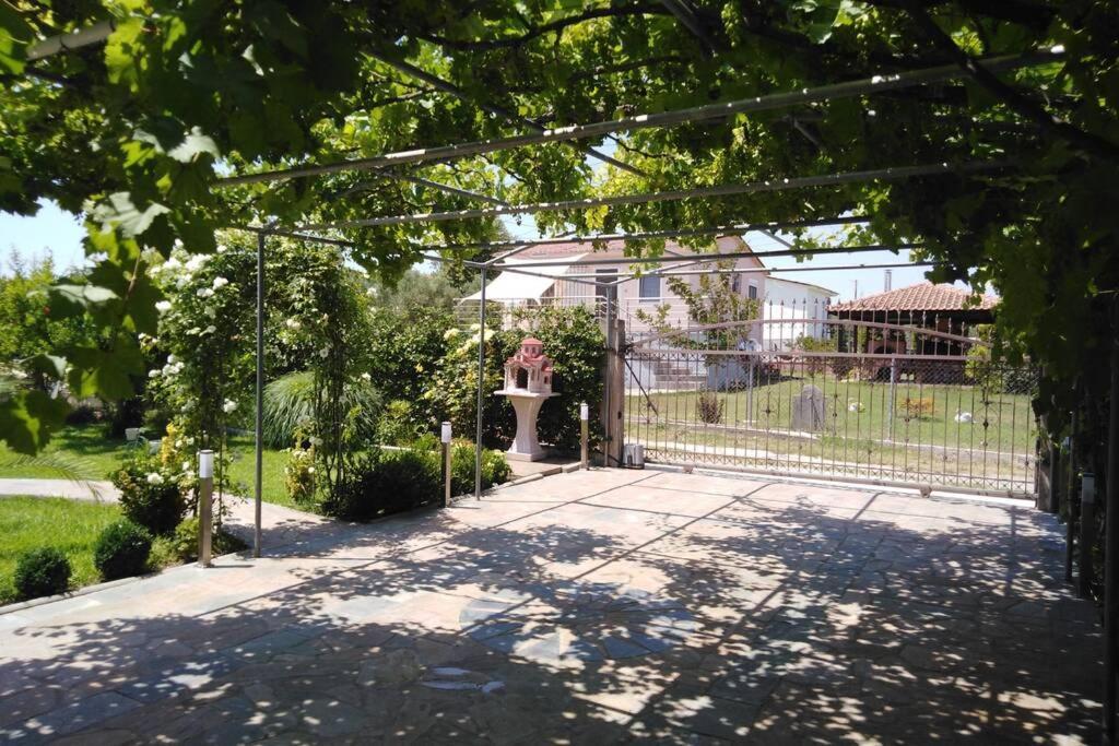 Villa Viktoria Halkidiki Nea Silata Buitenkant foto