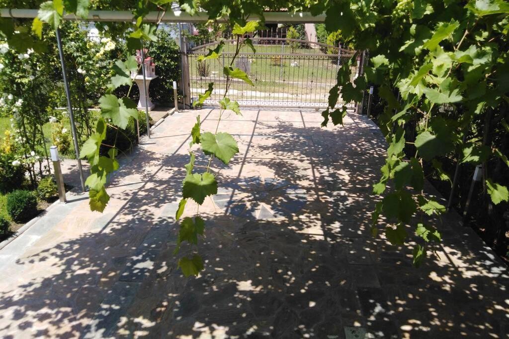 Villa Viktoria Halkidiki Nea Silata Buitenkant foto